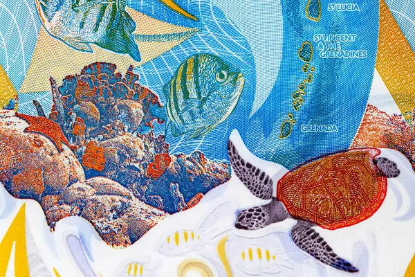 Doğu Karayipler 'e 2 dolar, adaların ve sualtı dünyasının görüntüsüne sahip polimer banknot. Doğu Karayip parası