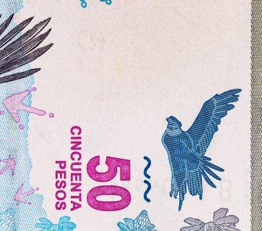 50 peso Arjantin And Akbabası 'nın görüntüsüyle. Arjantin 'in kağıt parası