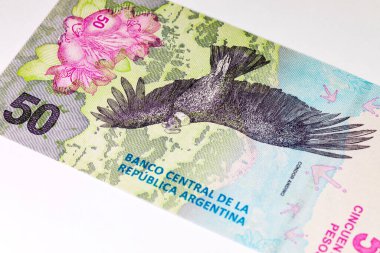 50 peso Arjantin And Akbabası 'nın görüntüsüyle. Arjantin 'in kağıt parası