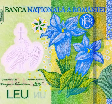 1 Leu Romanya ve Nicolae Orga 'nın portresi. Romanya ve Avrupa Birliği 'nin polimer parası.