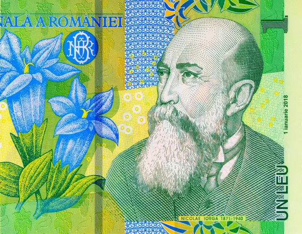 1 Leu Romanya ve Nicolae Orga 'nın portresi. Romanya ve Avrupa Birliği 'nin polimer parası.