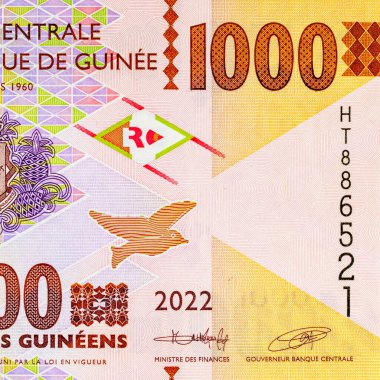 Afrikalı bir kızın portresiyle 1000 gine. Afrika Gine parası. Yakın plan..
