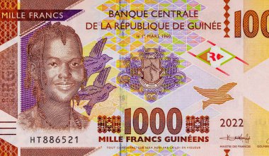 Afrikalı bir kızın portresiyle 1000 gine. Afrika Gine parası. Yakın plan..