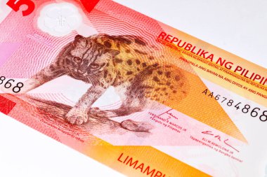 50 Piso Filipinler, Yeni Polymer Note 2025 Visayan Leoparı ile. Filipin Parası