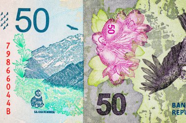 50 peso Arjantin, dağ cerro aconcagua resmi. Arjantin 'in kağıt parası