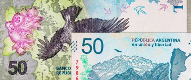 50 peso Arjantin And Akbabası 'nın görüntüsüyle. Arjantin 'in kağıt parası