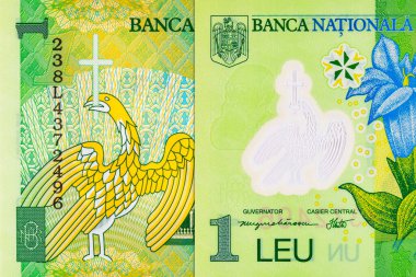 1 Leu Romania 2018, tasarımcılar için bir parça. Romanya ve Avrupa Birliği 'nin polimer parası.