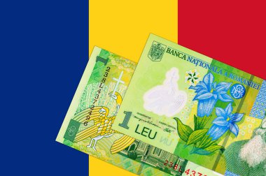 1 Leu Romania 2018, tasarımcılar için bir parça. Romanya ve Avrupa Birliği 'nin polimer parası.
