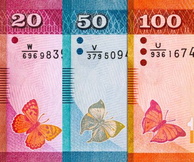 Banknote 50 rupi Sri Lanka Manampitiya Köprüsü resmi, tasarım için parça. Sri Lanka 'nın Parası