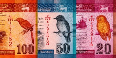 Banknote 50 rupi Sri Lanka Manampitiya Köprüsü resmi, tasarım için parça. Sri Lanka 'nın Parası