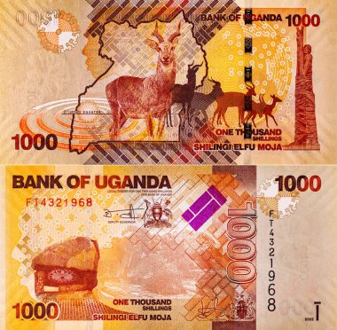 Banknote 1000 şilin Uganda 2022 'de fauna ve geyik resmi. Tasarım için parçalar. Uganda 'nın kağıt parası