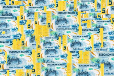 Solomon Adaları 5 Dolar. Polimer banknot, sualtında balık tutan bir adam resmi. Solomon Adalarının Parası.