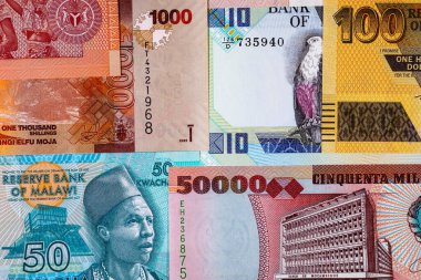 Afrika 'nın parası. Afrika ülkelerinin kağıt banknotları.