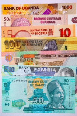 Afrika 'nın parası. Afrika ülkelerinin kağıt banknotları.