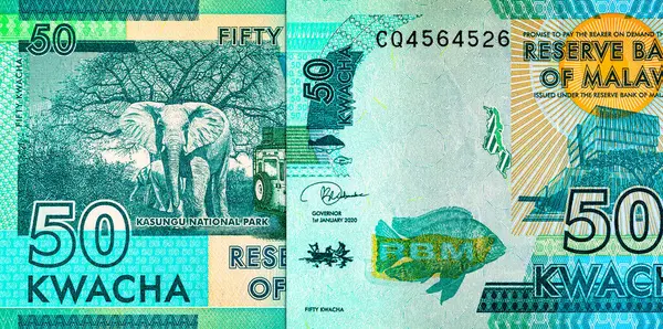 50 kwacha Malawi banknotu, Kasungu Milli Parkı 'nın resmi, tasarım için. Malavi 'nin Parası.