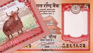 Üzerinde Everest Dağı 'nın resmi olan 5 rupilik Nepal banknotu, tasarım için. Nepal parası
