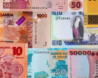Afrika 'nın parası. Afrika ülkelerinin kağıt banknotları.