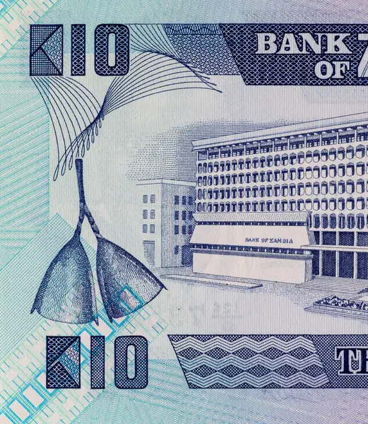 Banknote 10 kwacha Zambia, tasarım için parça. Zambiya ve Afrika 'nın parası