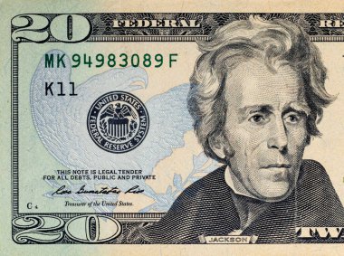 Tasarım amaçlı 20 dolarlık banknotun bir parçası. Çeşitli Amerikan banknotlarına yakın çekim. ABD para birimi.