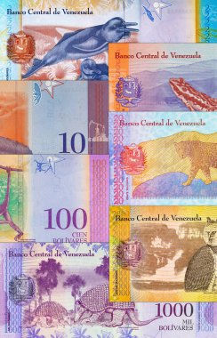 Venezuela 2 Bolivar banknotu ve tonina resmi. Venezuela parası. Venezuela 2 Bolivar banknotu ve tonina resmi. Venezuela parası.