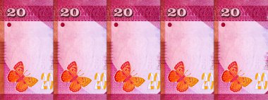Banknote 20 rupi Sri Lanka 'da resim kolombo portu, tasarım için parça. Sri Lanka 'nın Parası.