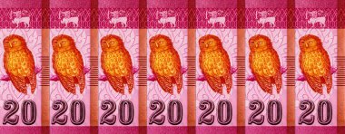 Banknote 20 rupi Sri Lanka 'da resim kolombo portu, tasarım için parça. Sri Lanka 'nın Parası.