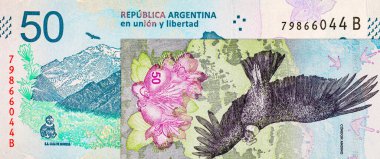 50 peso Arjantin And Akbabası 'nın görüntüsüyle. Arjantin 'in kağıt parası