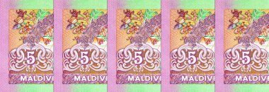 5 Rufiyaa Maldivler, 2011, tekne görüntüsü. Maldivler 'in kağıt parası. Tasarımcılar için banknot ögeleri.