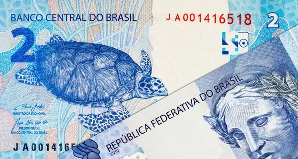 2 Reais, Brezilya kaplumbağa taruga marinha resmi. Tasarımcılar için parça. Brezilya 'nın parası.