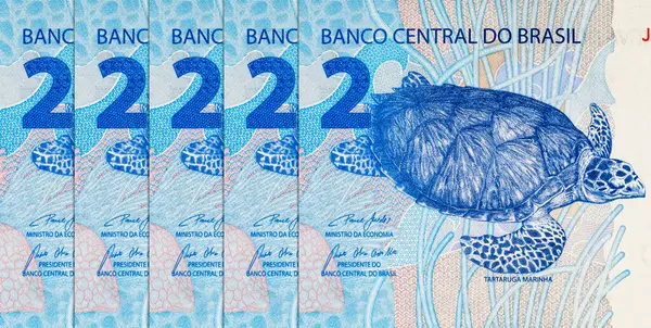 2 Reais, Brezilya kaplumbağa taruga marinha resmi. Tasarımcılar için parça. Brezilya 'nın parası.