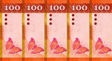 Sri Lanka 'da Norochcholai Kömür Santrali resmi 100 rupi. Sri Lanka 'nın parası