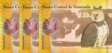 2000 Venezuelalı Bolivars Banknote, Aguila Arpia 'nın görüntüsüyle. Venezuela parası.