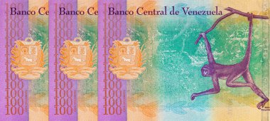 100 Bolivares Venezuela, bir maymun portresi ile. Tasarımcılar için parça. Venezuela 'nın parası.