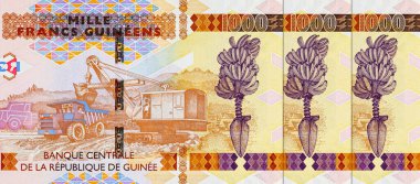 Açık çukur yöntemiyle Bauxite madenciliği imajı verilmiş 1000 gine frangı. Afrika Gine parası. Yakın plan..