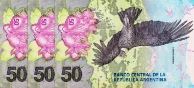 50 peso Arjantin And Akbabası 'nın görüntüsüyle. Arjantin 'in kağıt parası