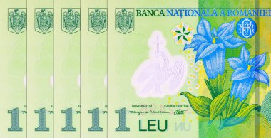 1 Leu Romania 2018, tasarımcılar için bir parça. Romanya ve Avrupa Birliği 'nin polimer parası.