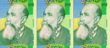 1 Leu Romanya ve Nicolae Orga 'nın portresi. Romanya ve Avrupa Birliği 'nin polimer parası.