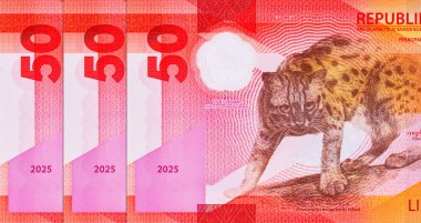 50 Piso Filipinler, Yeni Polymer Note 2025 Visayan Leoparı ile. Filipin Parası