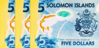 Solomon Adaları 5 Dolar. Polimer banknot parçası 2019 'da çıkarılmış ton balığını gösteriyor. Solomon Adalarının Parası.