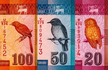 Banknote 50 rupi Sri Lanka Manampitiya Köprüsü resmi, tasarım için parça. Sri Lanka 'nın Parası