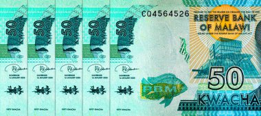 Malawi 50 kwacha banknot, tasarım için parça. Malavi parası..