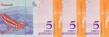 5 Bolivares Venezuela, içinde kurbağa Sapito Rayado 'nun resmi var. Venezuela 'nın kağıt parası.
