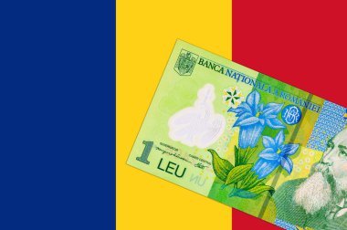 1 Leu Romania 2018, tasarımcılar için bir parça. Romanya ve Avrupa Birliği 'nin polimer parası.