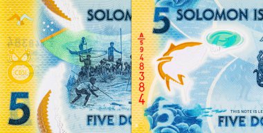 Solomon Adaları 5 Dolar. Polimer banknot, sualtında balık tutan bir adam resmi. Solomon Adalarının Parası.