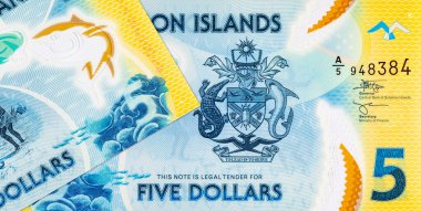 Solomon Adaları 5 Dolar. Polimer banknot parçası 2019 'da çıkarılmış ton balığını gösteriyor. Solomon Adalarının Parası.