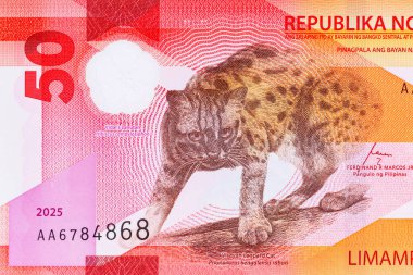50 Piso Filipinler, Yeni Polymer Note 2025 Visayan Leoparı ile. Filipin Parası