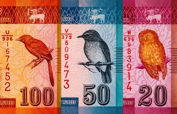 Banknote 50 rupi Sri Lanka Manampitiya Köprüsü resmi, tasarım için parça. Sri Lanka 'nın Parası