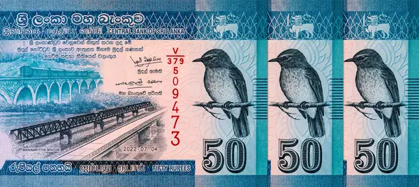 Banknote 50 rupi Sri Lanka Manampitiya Köprüsü resmi, tasarım için parça. Sri Lanka 'nın Parası