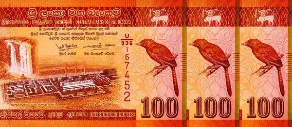 Sri Lanka 'da Norochcholai Kömür Santrali resmi 100 rupi. Sri Lanka 'nın parası