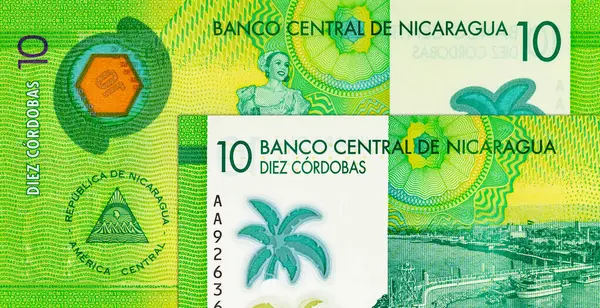 10 Cordobas Nikaragua, tasarım için bir banknotun parçası. Nikaragua 'nın polimer parası